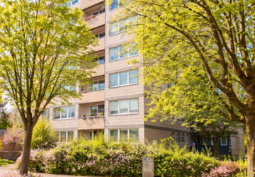 Wohnung Gelsenkirchen Beckhausen - 3 Zimmer, 75 m&sup2;, 420&euro; | Angebot:27023519