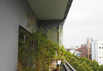 Wohnung Dortmund - 3 Zimmer, 79 m&sup2;, 790&euro; | Angebot:26233371