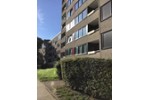 Etagenwohnung Essen Stadtbezirk VII - 2 Zimmer, 65 m&sup2;, 480&euro; | Angebot:25733857