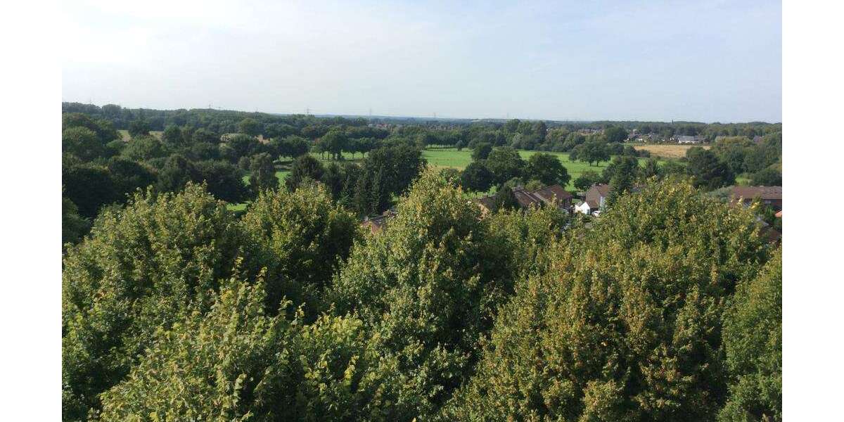 Etagenwohnung Gelsenkirchen Hassel - 2 Zimmer, 60 m&sup2;, 378&euro; | Angebot:24974173